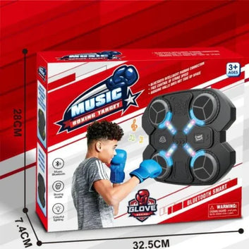 Premium Musical Boxing Target Machine